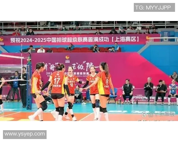 重庆排球队在城市联赛中的速度优势与战术解析